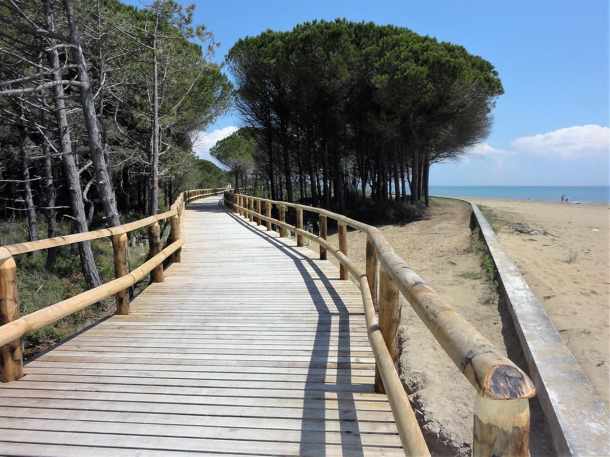 Adriatico - *